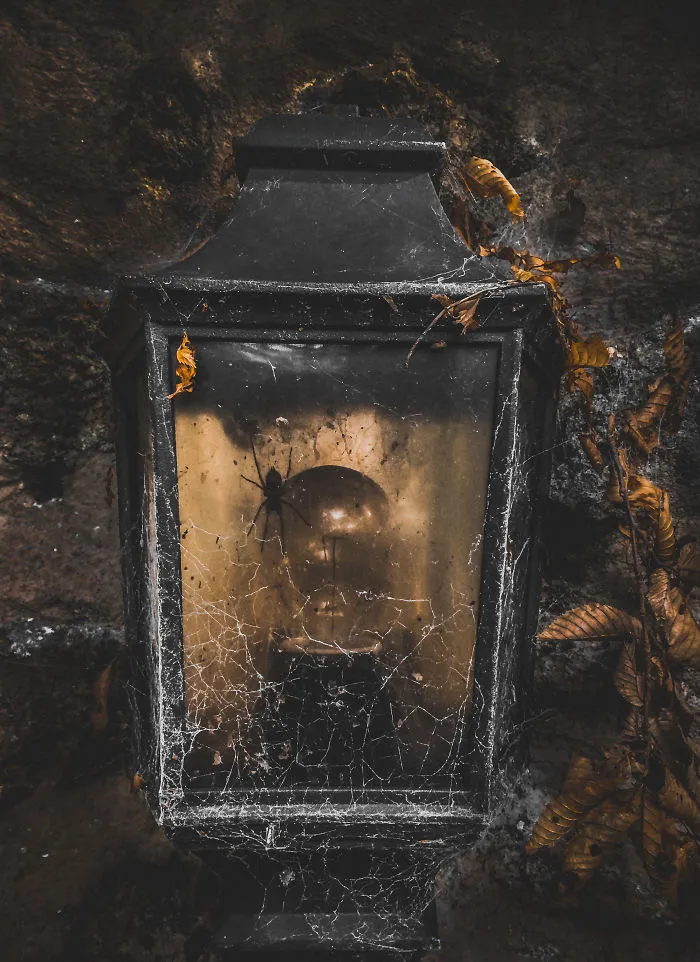 I Take Pictures With My Smartphone To Prove That It's Not The Equipment That Matters