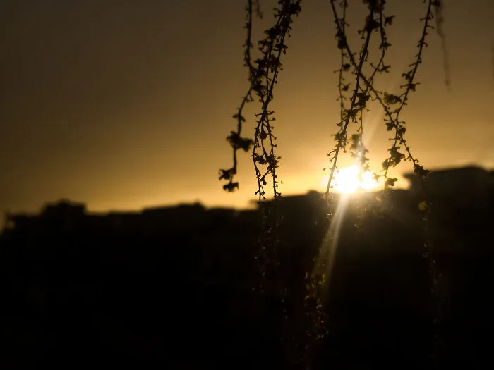 I Take Pictures With My Smartphone To Prove That It's Not The Equipment That Matters