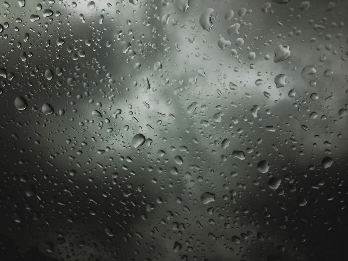I Take Pictures With My Smartphone To Prove That It's Not The Equipment That Matters