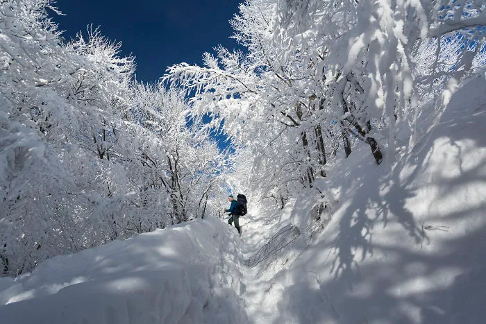 I Have Found The Magic Of Winter In The Polish Mountains