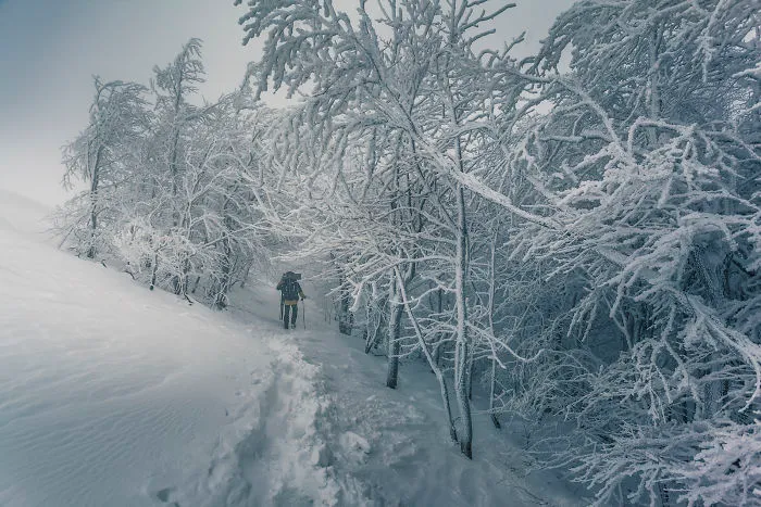 I Have Found The Magic Of Winter In The Polish Mountains