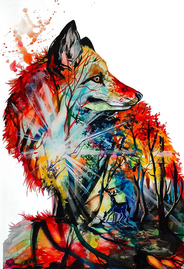 Lost In Wild