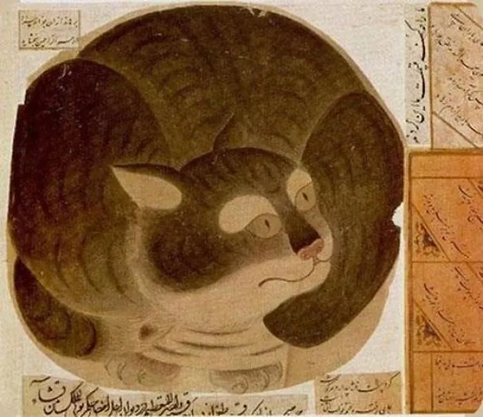 Mohammed's Cat, Muezza