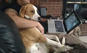 30 Shameless Pets That Stole Owner's Partner And Didn't Even Feel Sorry
