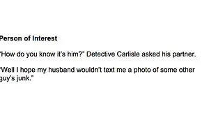 29 Word Story - Person Of Interest