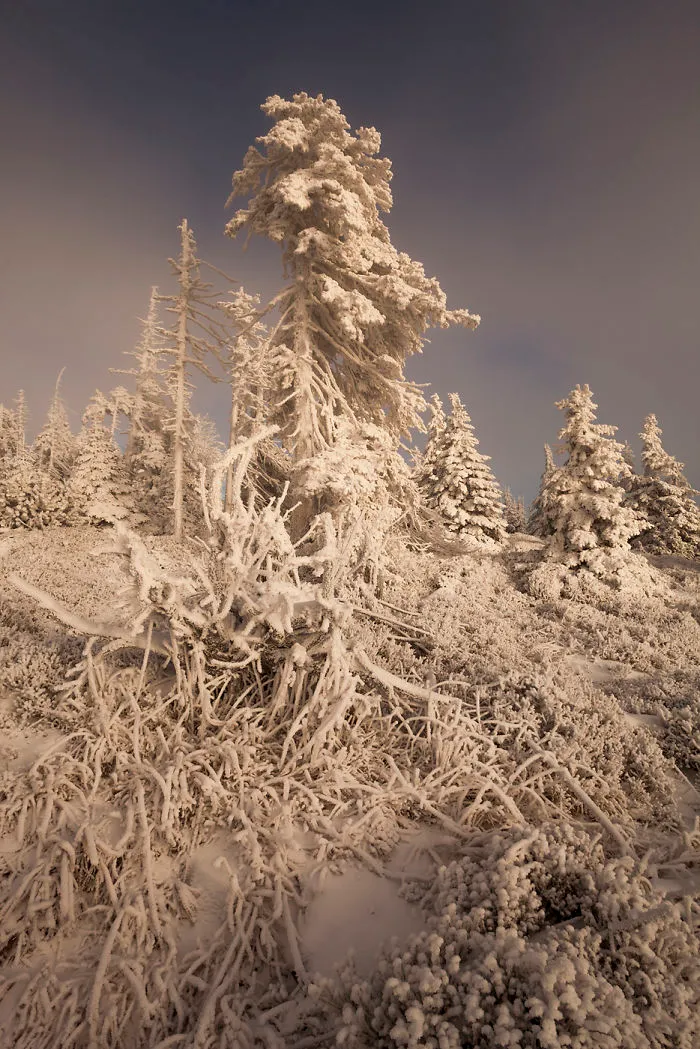 I Have Found The Magic Of Winter In The Polish Mountains