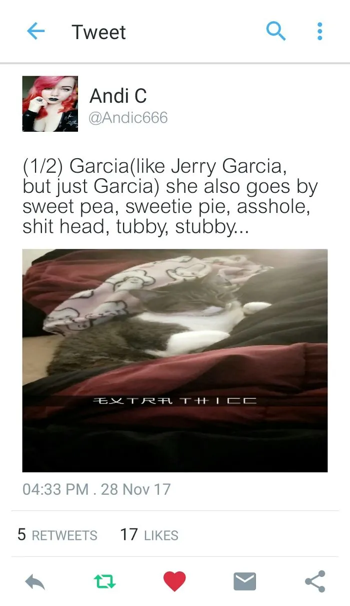 Tweet showing a cat named Garcia with funny alternative pet names shared by people online.