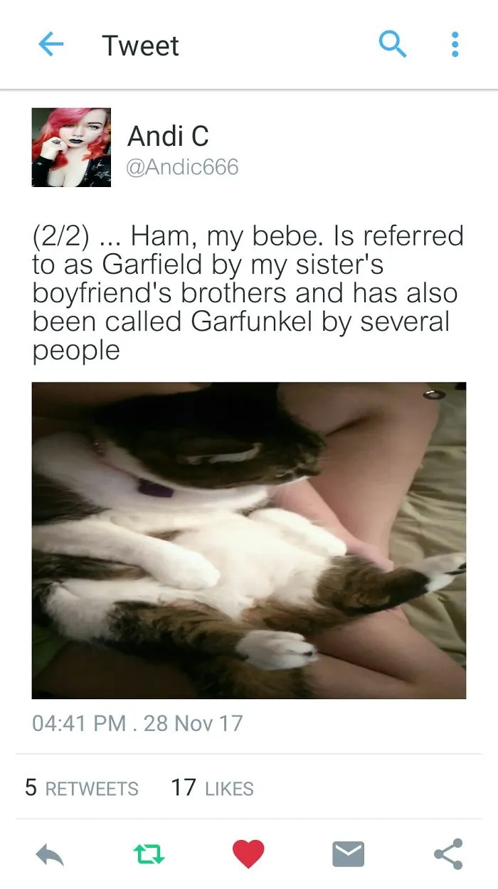 Tweet showing a cat named Ham with new funny pet names shared by people instead of the original name.