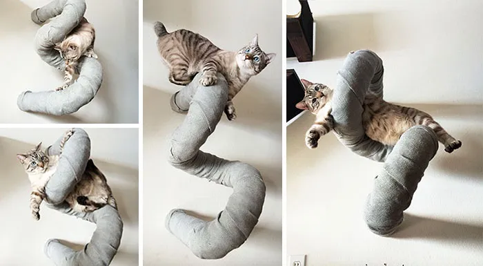 The Cat Trap