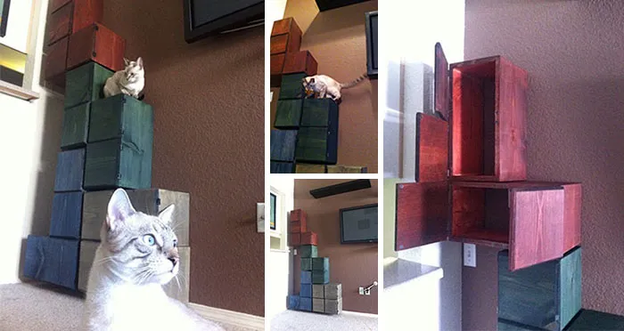 Tetris Cat Steps