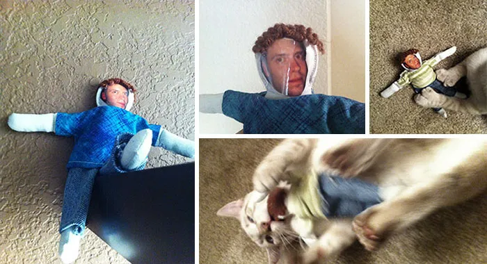 The "Whoever You Hate" Cat Toy