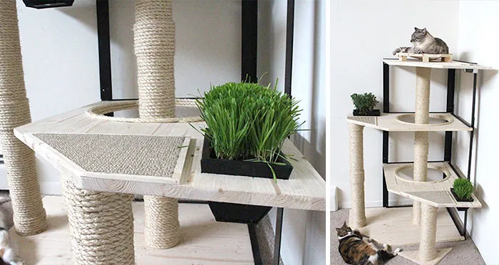 Untitled Cat Tree
