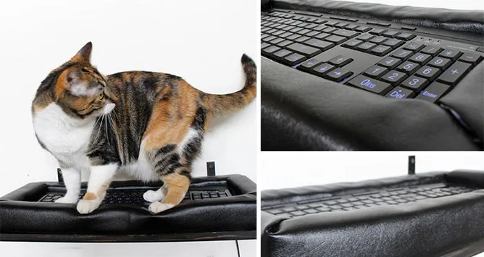 Keyboard Cat Bed
