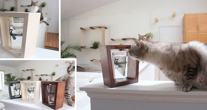 Cat-Proof Coasters