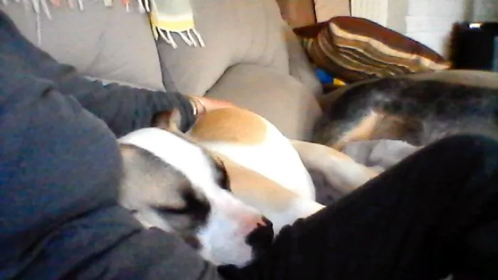 Comfort