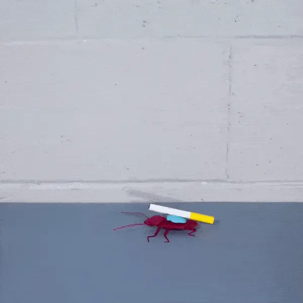 We're An All-Female Animation Team That Makes Our Animations Out Of Paper