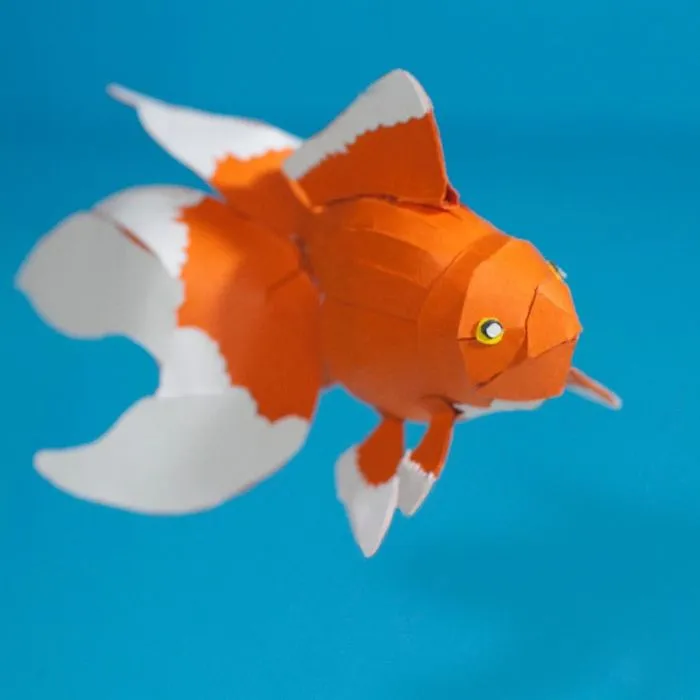 We're An All-Female Animation Team That Makes Our Animations Out Of Paper