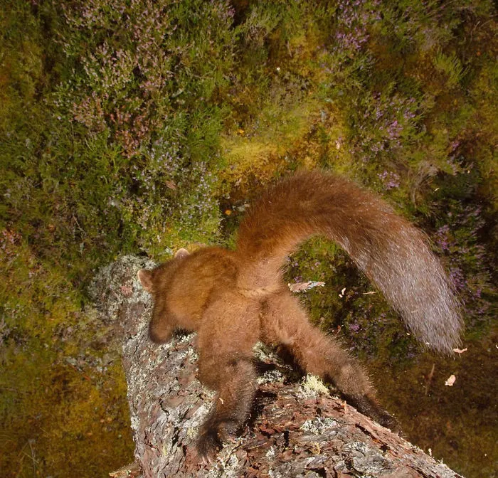 Winning #wildlifephotofail Submissions Reveal Who’s Really In Charge 
(Hint: It’s Not The Photographers)