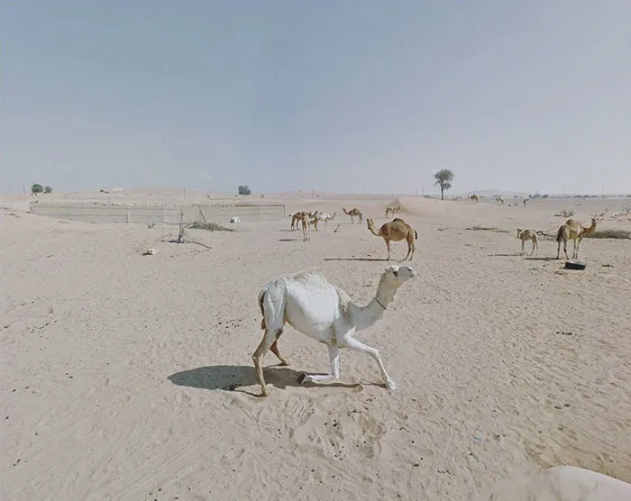 Sharjah, United Arab Emirates
