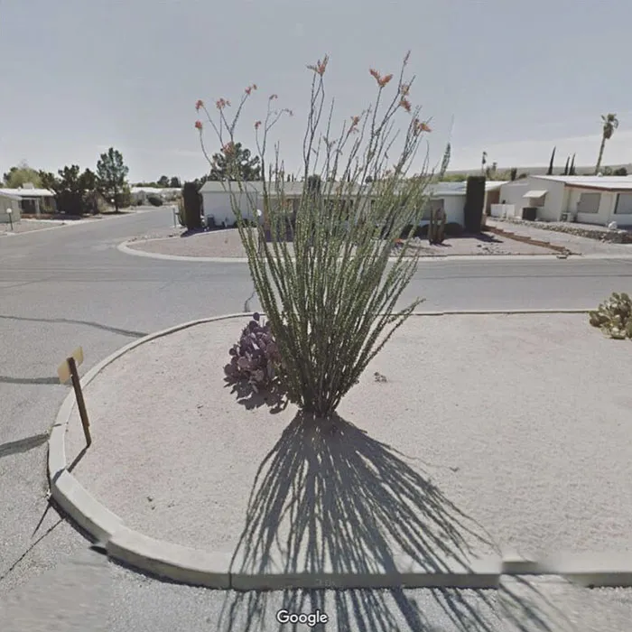 Green Valley, Arizona, United States