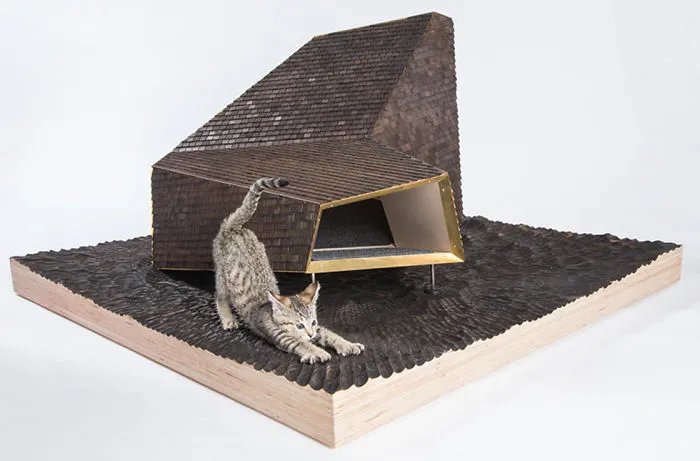 Knowhow Shop’s Fictional Cat Exploration Program With Lunar Cat Lander