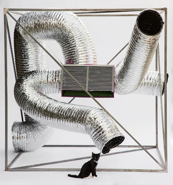 d3architecture’s Upcycled-HVAC Equipment Shelter, A Quirky Take On Feral Cats Living In Urban Alleys