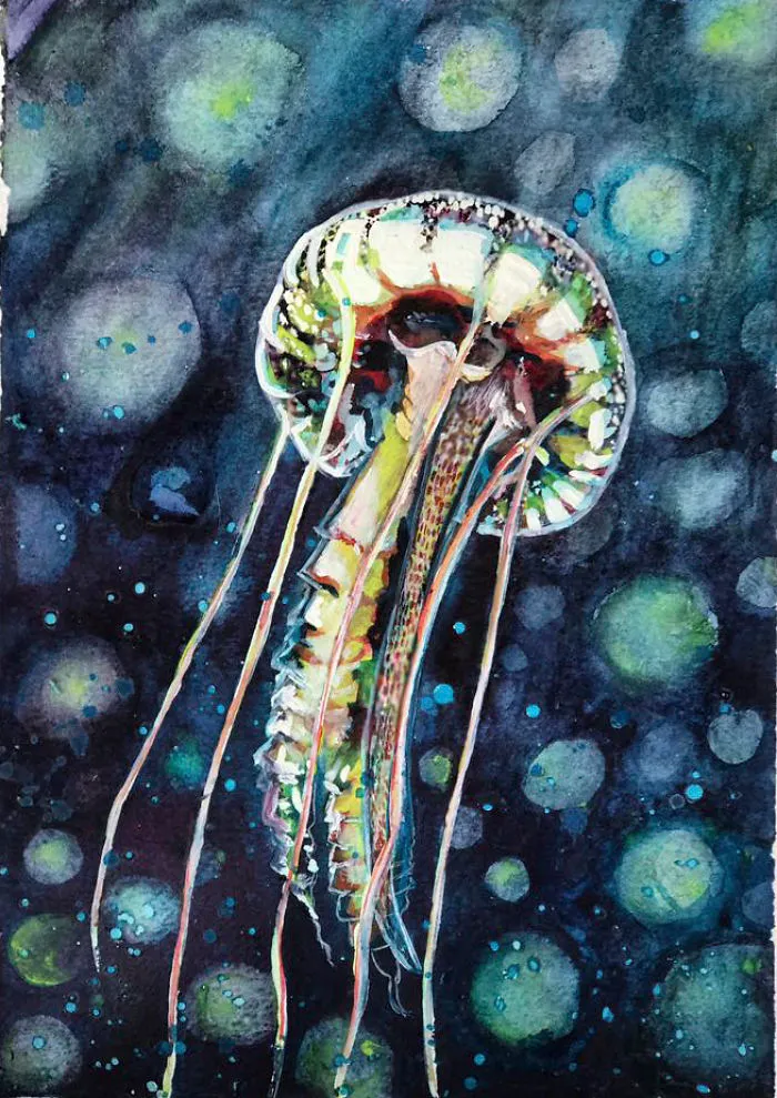 J Is For Jellyfish