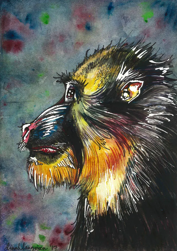 B Is For Baboon