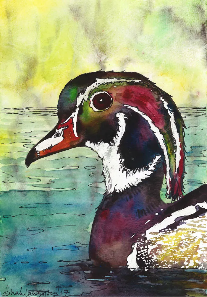 D Is For Duck