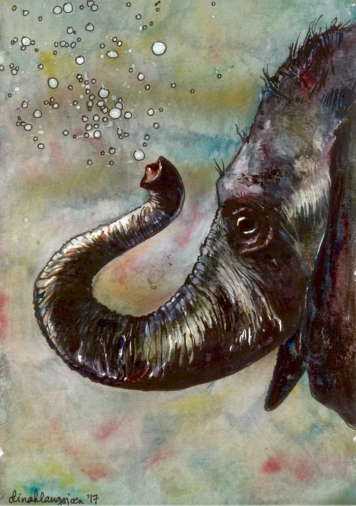 E Is For Elephant