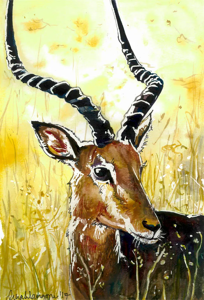I Is For Impala