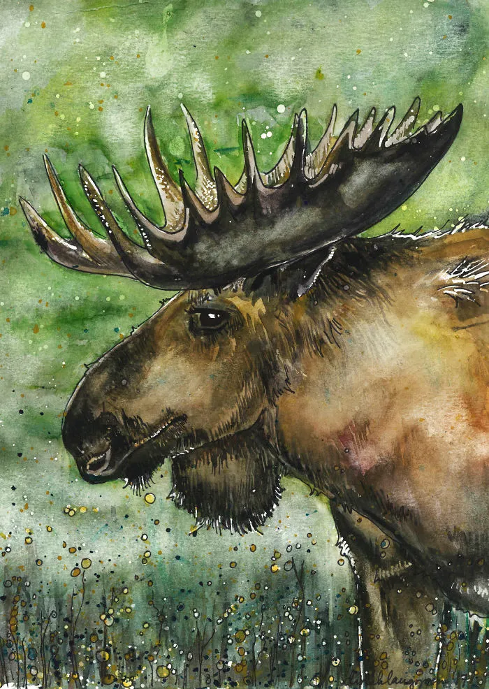 M Is For Moose