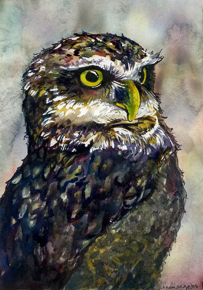 O Is For Owl