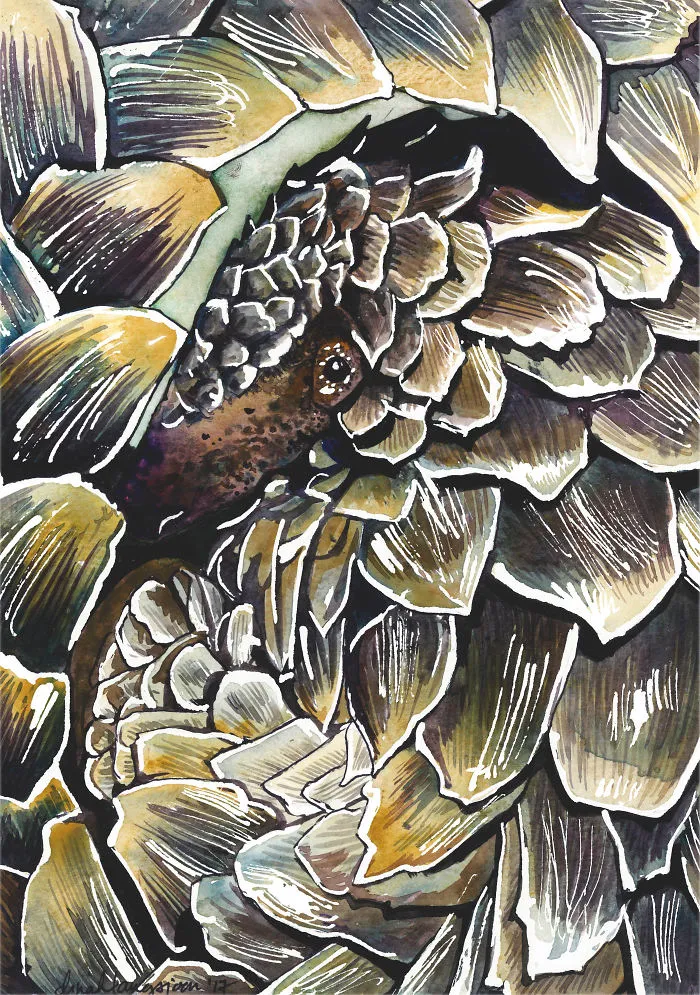 P Is For Pangolin