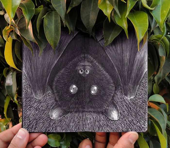 Bat