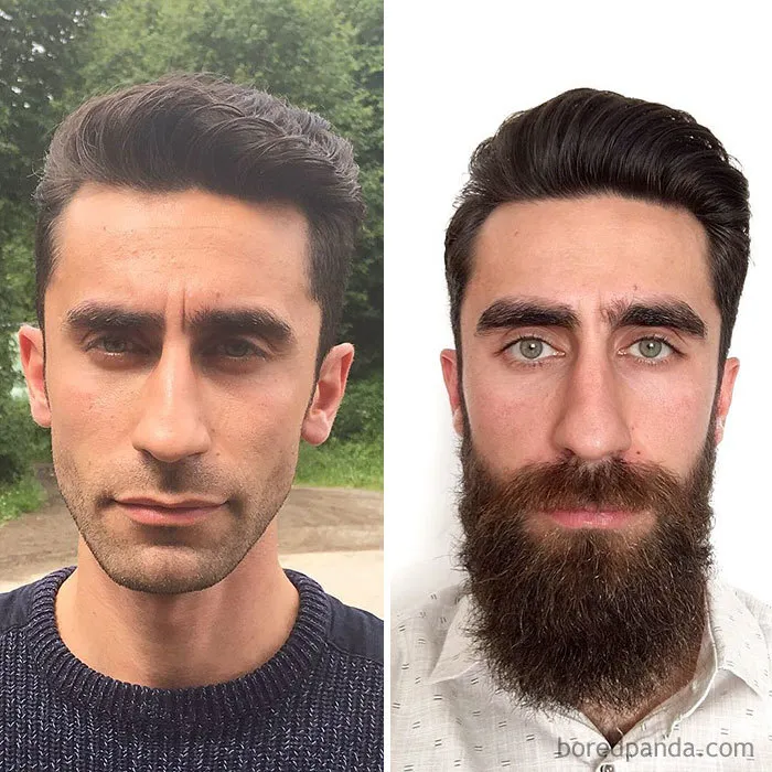 Now My Question To You Guys. Who Will Win? Beardy Lion Vs Babyboy ?