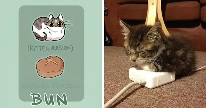 Artist Proves Cats Are More Bread Than You'd Think