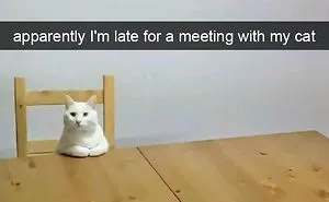 30 Hilarious Cat Snapchats That Are Im-Paw-Sible Not To Laugh At (New Pics)