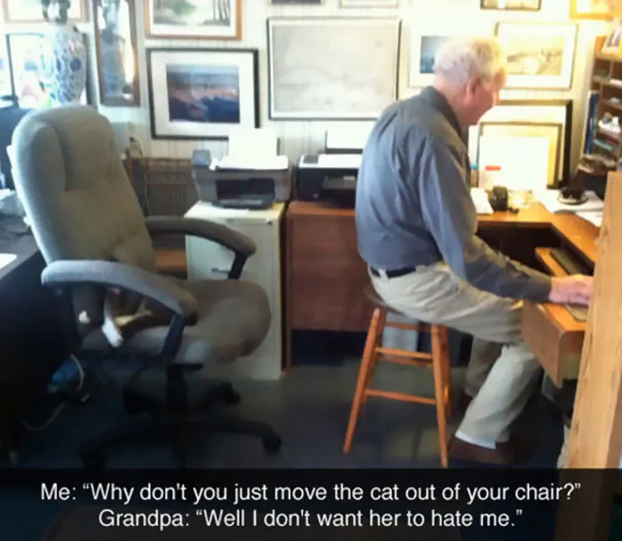 30 Hilarious Cat Snapchats That Are Im-Paw-Sible Not To Laugh At (New Pics)