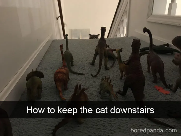 30 Hilarious Cat Snapchats That Are Im-Paw-Sible Not To Laugh At (New Pics)