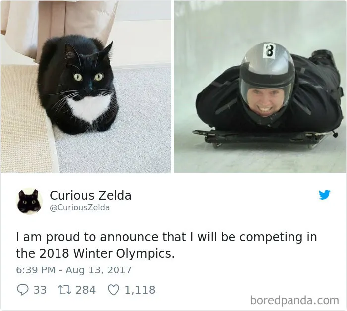 73 Funny Tweets By Curious Zelda That Will Instantly Make Your Day