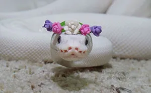26 Adorable Snake Pics That Will Help You Conquer Your Fear