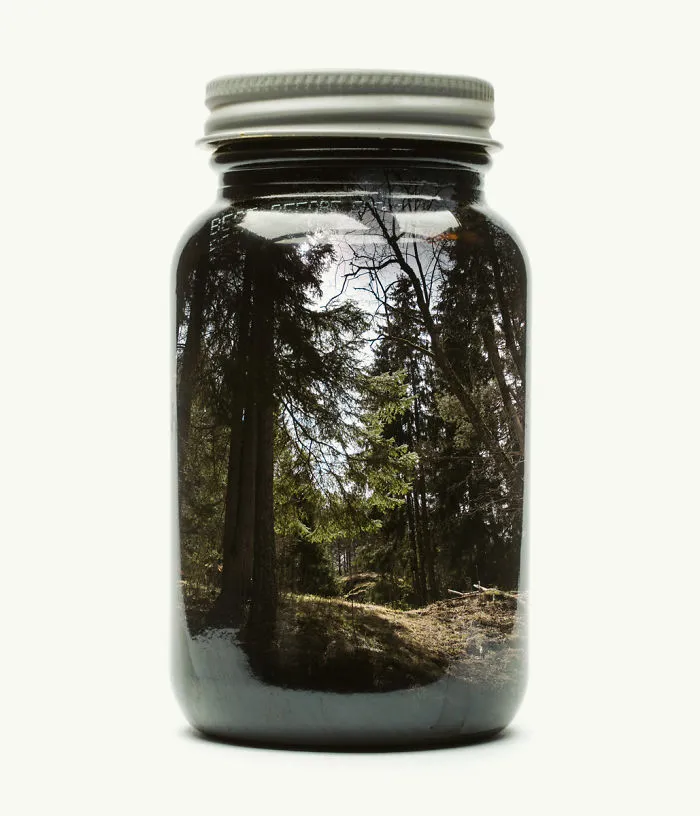 Bosque profundo