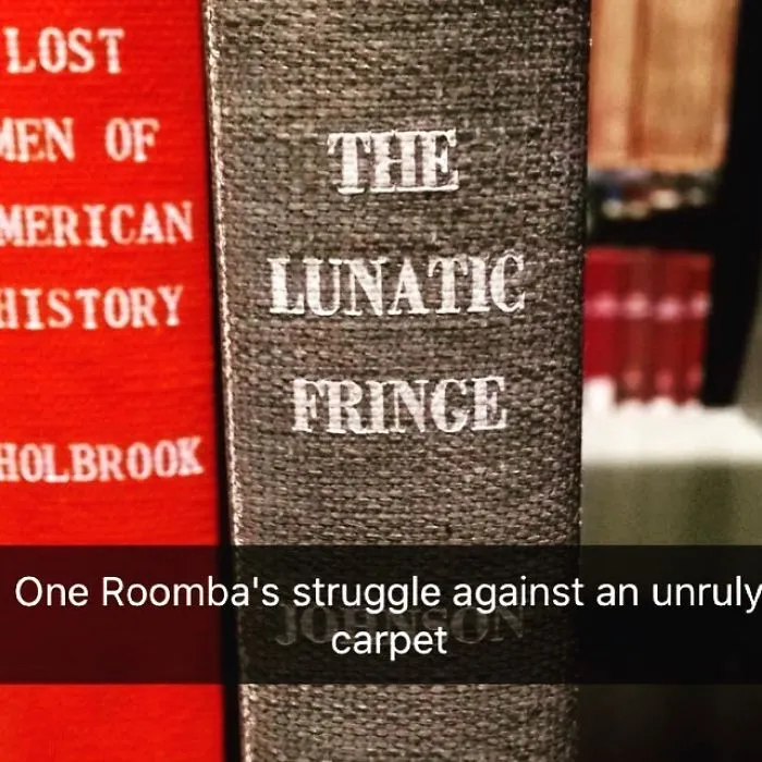 Someone Is Adding Fake Subtitles To Library Books And We're Rolling From Laughter