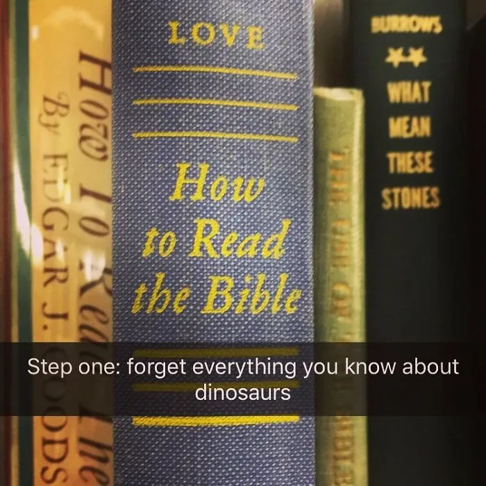 Someone Is Adding Fake Subtitles To Library Books And We're Rolling From Laughter