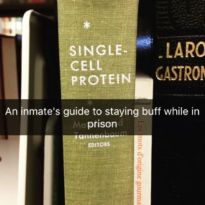 Someone Is Adding Fake Subtitles To Library Books And We're Rolling From Laughter