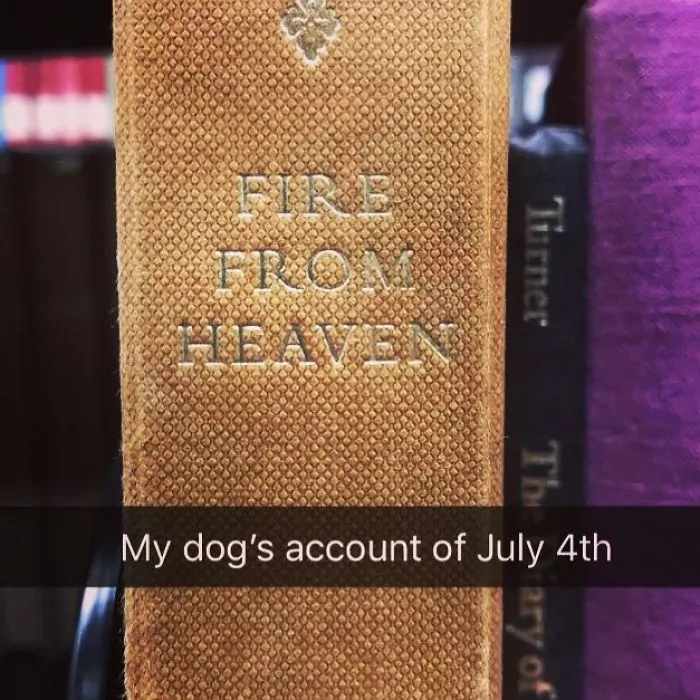 Someone Is Adding Fake Subtitles To Library Books And We're Rolling From Laughter