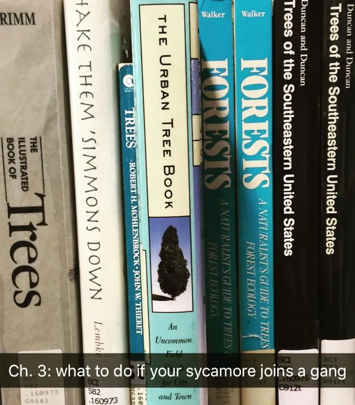 Someone Is Adding Fake Subtitles To Library Books And We're Rolling From Laughter