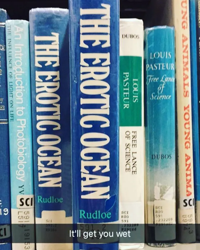 Someone Is Adding Fake Subtitles To Library Books And We're Rolling From Laughter