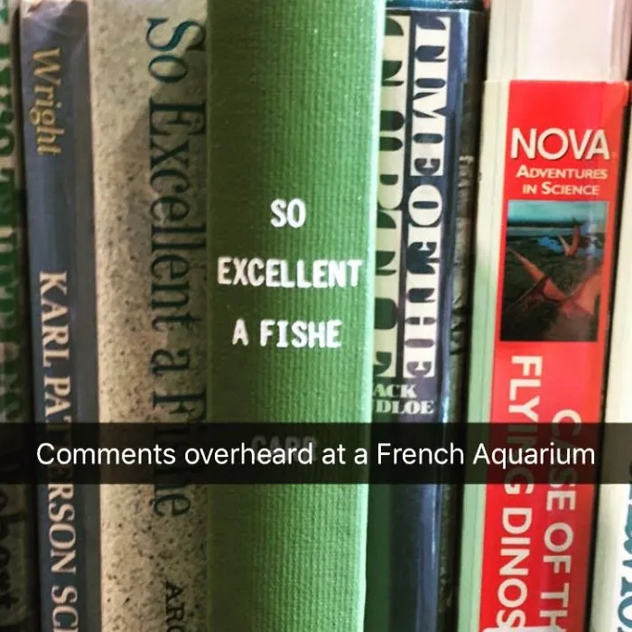 Someone Is Adding Fake Subtitles To Library Books And We're Rolling From Laughter